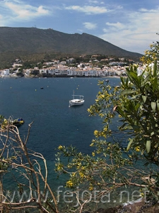 Nombre del archivo=060520_009.jpg
Tamaño del archivo=85Kb
Dimensiones=375x500
Fecha añadida=01 de Noviembre de 11 060520_009.jpg