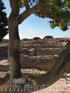 Nombre del archivo=060524_008.jpg
Tamaño del archivo=82Kb
Dimensiones=375x500
Fecha añadida=01 de Noviembre de 11 060524_008.jpg