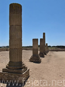 Nombre del archivo=060524_023.jpg
Tamaño del archivo=52Kb
Dimensiones=375x500
Fecha añadida=01 de Noviembre de 11 060524_023.jpg