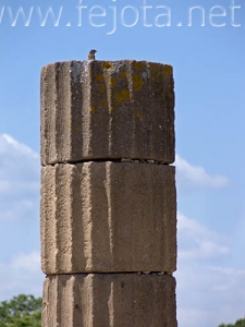 Nombre del archivo=060524_028.jpg
Tamaño del archivo=51Kb
Dimensiones=375x500
Fecha añadida=01 de Noviembre de 11 060524_028.jpg