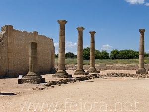 Nombre del archivo=060524_030.jpg
Tamaño del archivo=60Kb
Dimensiones=500x375
Fecha añadida=01 de Noviembre de 11 060524_030.jpg