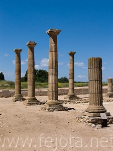 Nombre del archivo=060524_033.jpg
Tamaño del archivo=63Kb
Dimensiones=375x500
Fecha añadida=01 de Noviembre de 11 060524_033.jpg