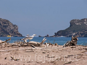 Nombre del archivo=060525_075.jpg
Tamaño del archivo=61Kb
Dimensiones=500x375
Fecha añadida=02 de Noviembre de 11 060525_075.jpg