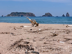 Nombre del archivo=060525_076.jpg
Tamaño del archivo=72Kb
Dimensiones=500x375
Fecha añadida=02 de Noviembre de 11 060525_076.jpg