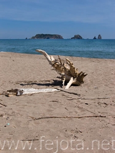 Nombre del archivo=060525_079.jpg
Tamaño del archivo=59Kb
Dimensiones=375x500
Fecha añadida=02 de Noviembre de 11 060525_079.jpg