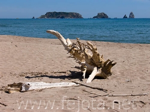 Nombre del archivo=060525_080.jpg
Tamaño del archivo=69Kb
Dimensiones=500x375
Fecha añadida=02 de Noviembre de 11 060525_080.jpg