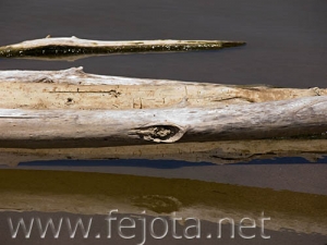 Nombre del archivo=060525_085.jpg
Tamaño del archivo=52Kb
Dimensiones=500x375
Fecha añadida=02 de Noviembre de 11 060525_085.jpg