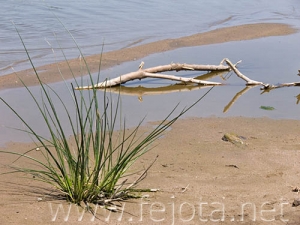 Nombre del archivo=060525_086.jpg
Tamaño del archivo=65Kb
Dimensiones=500x375
Fecha añadida=02 de Noviembre de 11 060525_086.jpg