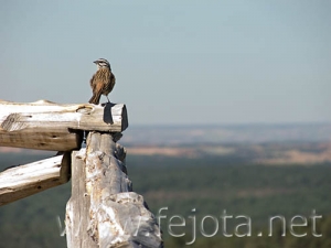 Nombre del archivo=060603_002.jpg
Tamaño del archivo=41Kb
Dimensiones=500x375
Fecha añadida=02 de Noviembre de 11 060603_002.jpg