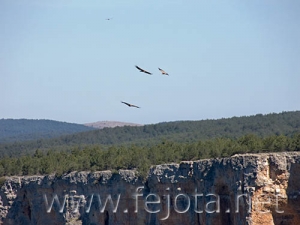 Nombre del archivo=060603_015.jpg
Tamaño del archivo=50Kb
Dimensiones=500x375
Fecha añadida=02 de Noviembre de 11 060603_015.jpg