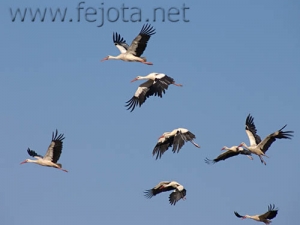 Nombre del archivo=060605_010.jpg
Tamaño del archivo=35Kb
Dimensiones=500x375
Fecha añadida=02 de Noviembre de 11 060605_010.jpg