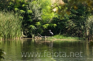 Nombre del archivo=060708_007.jpg
Tamaño del archivo=108Kb
Dimensiones=500x333
Fecha añadida=03 de Noviembre de 11 060708_007.jpg