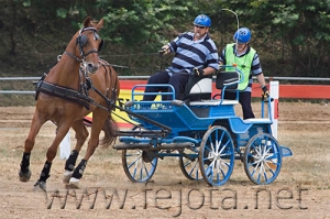 Nombre del archivo=060708_017.jpg
Tamaño del archivo=101Kb
Dimensiones=500x332
Fecha añadida=11 de Noviembre de 11 060708_017.jpg