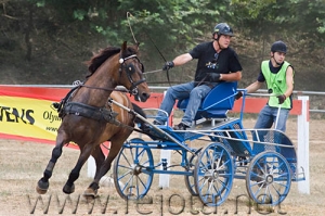 Nombre del archivo=060708_020.jpg
Tamaño del archivo=100Kb
Dimensiones=500x333
Fecha añadida=11 de Noviembre de 11 060708_020.jpg