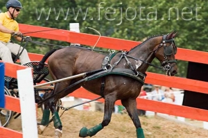 Nombre del archivo=060708_031.jpg
Tamaño del archivo=83Kb
Dimensiones=500x332
Fecha añadida=11 de Noviembre de 11 060708_031.jpg