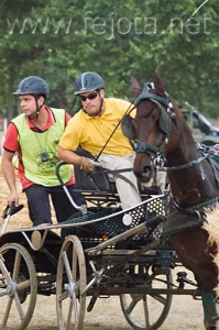 Nombre del archivo=060708_040.jpg
Tamaño del archivo=85Kb
Dimensiones=332x500
Fecha añadida=11 de Noviembre de 11 060708_040.jpg