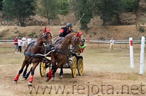 Nombre del archivo=060708_069.jpg
Tamaño del archivo=96Kb
Dimensiones=500x333
Fecha añadida=11 de Noviembre de 11 060708_069.jpg