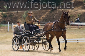 Nombre del archivo=060709_002.jpg
Tamaño del archivo=92Kb
Dimensiones=500x333
Fecha añadida=11 de Noviembre de 11 060709_002.jpg