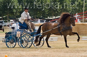 Nombre del archivo=060709_010.jpg
Tamaño del archivo=103Kb
Dimensiones=500x333
Fecha añadida=11 de Noviembre de 11 060709_010.jpg