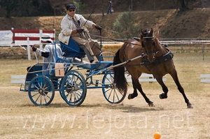 Nombre del archivo=060709_011.jpg
Tamaño del archivo=93Kb
Dimensiones=500x332
Fecha añadida=11 de Noviembre de 11 060709_011.jpg