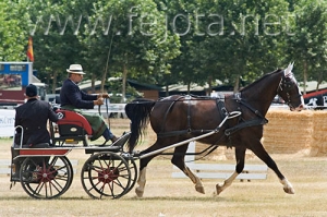 Nombre del archivo=060709_015.jpg
Tamaño del archivo=100Kb
Dimensiones=500x333
Fecha añadida=11 de Noviembre de 11 060709_015.jpg