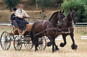 Nombre del archivo=060709_032.jpg
Tamaño del archivo=92Kb
Dimensiones=500x333
Fecha añadida=11 de Noviembre de 11 060709_032.jpg