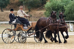 Nombre del archivo=060709_034.jpg
Tamaño del archivo=93Kb
Dimensiones=500x333
Fecha añadida=11 de Noviembre de 11 060709_034.jpg