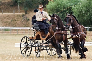 Nombre del archivo=060709_035.jpg
Tamaño del archivo=94Kb
Dimensiones=500x333
Fecha añadida=11 de Noviembre de 11 060709_035.jpg