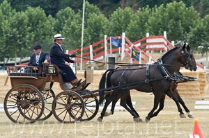 Nombre del archivo=060709_039.jpg
Tamaño del archivo=100Kb
Dimensiones=500x333
Fecha añadida=11 de Noviembre de 11 060709_039.jpg