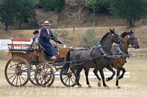 Nombre del archivo=060709_040.jpg
Tamaño del archivo=90Kb
Dimensiones=500x333
Fecha añadida=11 de Noviembre de 11 060709_040.jpg