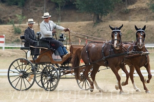 Nombre del archivo=060709_048.jpg
Tamaño del archivo=89Kb
Dimensiones=500x333
Fecha añadida=11 de Noviembre de 11 060709_048.jpg