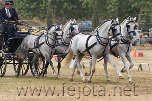 Nombre del archivo=060709_114.jpg
Tamaño del archivo=93Kb
Dimensiones=500x332
Fecha añadida=11 de Noviembre de 11 060709_114.jpg