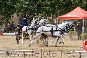 Nombre del archivo=060709_132.jpg
Tamaño del archivo=98Kb
Dimensiones=500x332
Fecha añadida=11 de Noviembre de 11 060709_132.jpg