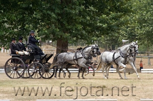 Nombre del archivo=060709_143.jpg
Tamaño del archivo=102Kb
Dimensiones=500x333
Fecha añadida=11 de Noviembre de 11 060709_143.jpg