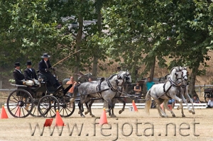 Nombre del archivo=060709_154.jpg
Tamaño del archivo=107Kb
Dimensiones=500x333
Fecha añadida=11 de Noviembre de 11 060709_154.jpg