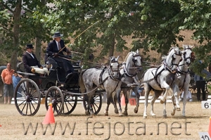 Nombre del archivo=060709_155.jpg
Tamaño del archivo=106Kb
Dimensiones=500x333
Fecha añadida=11 de Noviembre de 11 060709_155.jpg