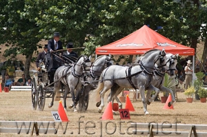 Nombre del archivo=060709_161.jpg
Tamaño del archivo=106Kb
Dimensiones=500x333
Fecha añadida=11 de Noviembre de 11 060709_161.jpg