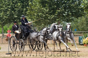 Nombre del archivo=060709_164.jpg
Tamaño del archivo=110Kb
Dimensiones=500x333
Fecha añadida=11 de Noviembre de 11 060709_164.jpg