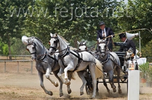 Nombre del archivo=060709_167.jpg
Tamaño del archivo=99Kb
Dimensiones=500x333
Fecha añadida=11 de Noviembre de 11 060709_167.jpg