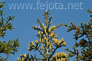 Nombre del archivo=060710_006.jpg
Tamaño del archivo=95Kb
Dimensiones=500x332
Fecha añadida=03 de Noviembre de 11 060710_006.jpg