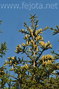 Nombre del archivo=060710_007.jpg
Tamaño del archivo=101Kb
Dimensiones=332x500
Fecha añadida=03 de Noviembre de 11 060710_007.jpg