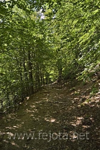 Nombre del archivo=060710_033.jpg
Tamaño del archivo=119Kb
Dimensiones=332x500
Fecha añadida=03 de Noviembre de 11 060710_033.jpg