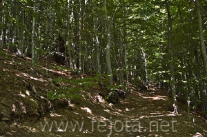 Nombre del archivo=060710_034.jpg
Tamaño del archivo=113Kb
Dimensiones=500x332
Fecha añadida=03 de Noviembre de 11 060710_034.jpg