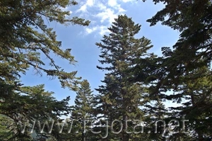 Nombre del archivo=060710_046.jpg
Tamaño del archivo=104Kb
Dimensiones=500x332
Fecha añadida=03 de Noviembre de 11 060710_046.jpg