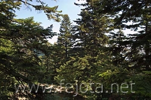 Nombre del archivo=060710_049.jpg
Tamaño del archivo=111Kb
Dimensiones=500x332
Fecha añadida=03 de Noviembre de 11 060710_049.jpg