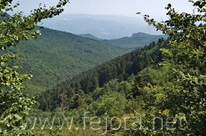 Nombre del archivo=060710_054.jpg
Tamaño del archivo=100Kb
Dimensiones=500x332
Fecha añadida=03 de Noviembre de 11 060710_054.jpg