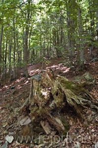 Nombre del archivo=060710_060.jpg
Tamaño del archivo=122Kb
Dimensiones=332x500
Fecha añadida=03 de Noviembre de 11 060710_060.jpg