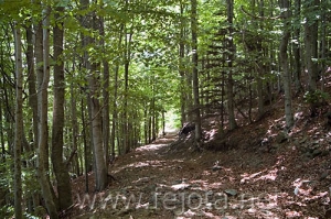 Nombre del archivo=060710_065.jpg
Tamaño del archivo=119Kb
Dimensiones=500x332
Fecha añadida=03 de Noviembre de 11 060710_065.jpg