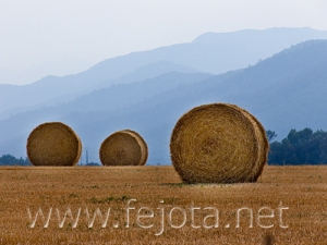 Nombre del archivo=060716_003.jpg
Tamaño del archivo=88Kb
Dimensiones=500x375
Fecha añadida=03 de Noviembre de 11 060716_003.jpg