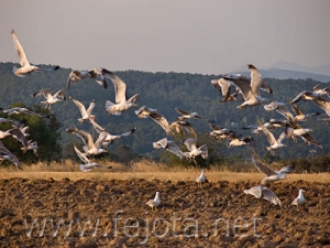 Nombre del archivo=060721_002.jpg
Tamaño del archivo=88Kb
Dimensiones=500x375
Fecha añadida=03 de Noviembre de 11 060721_002.jpg